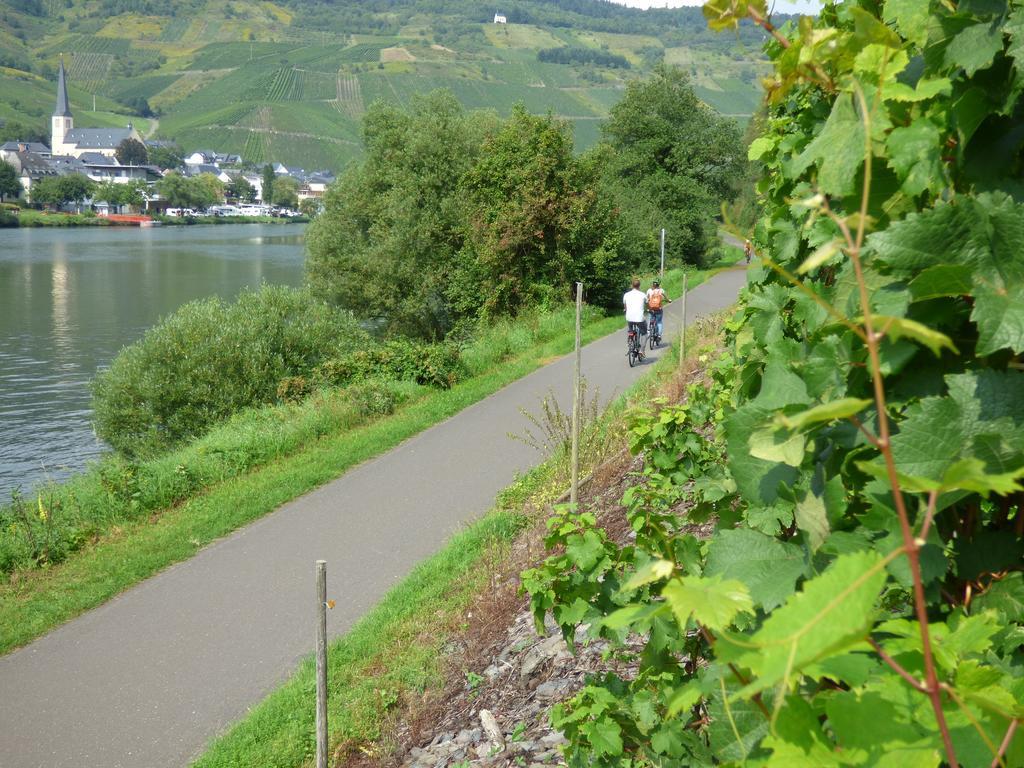 Sonnenhaus Ferienwohnungen Traben-Trarbach Exterior foto